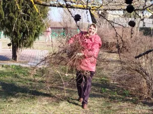 К  Всероссийскому субботнику присоединились работники территориального управления № 2